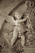 Wall_Art_Alphabet_Photography_Art_ 214